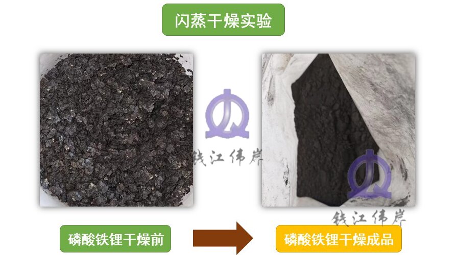 1707122974541123.jpg 磷酸鐵鋰.jpg